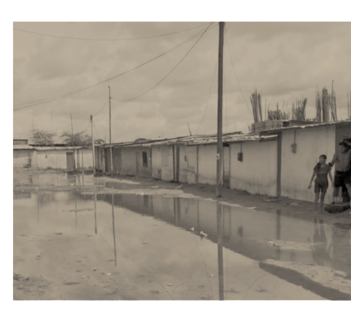 Lineamientos regionales en materia de protección y asistencia a personas desplazadas a través de fronteras y migrantes en países afectados por desastres de origen natural