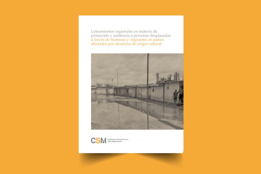 Lineamientos regionales en materia de protección y asistencia a personas desplazadas a través de fronteras y migrantes en países afectados por desastres de origen natural